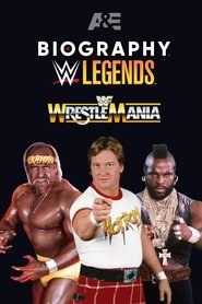 Poster of undefined