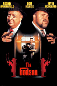 Film The Godson streaming VF complet