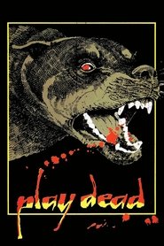 Imagen de Hechizos diabólicos
