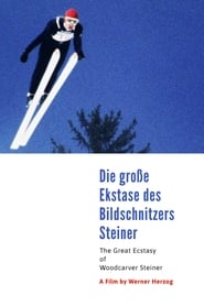 Film La grande extase du sculpteur sur bois Steiner streaming VF complet