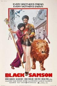 Film Black Samson streaming VF complet