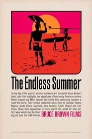 Imagen de The Endless Summer