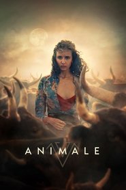 Imagen de Animale