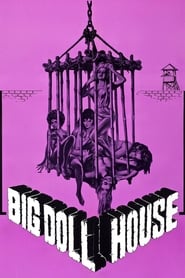 Film The Big Doll House streaming VF complet