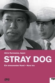 Ein streunender Hund 1949