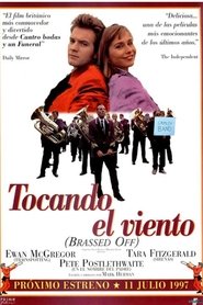 Imagen de Tocando el viento