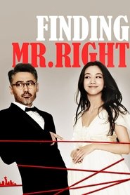Finding Mr. Right 2013