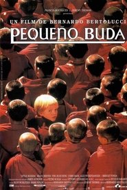 Pequeño Buda 1993