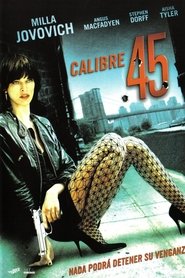Imagen de Calibre 45