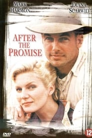 Film After the Promise streaming VF complet
