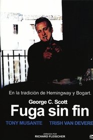 Imagen de Fuga sin fin