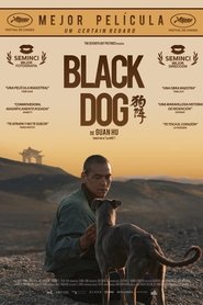 Imagen de Black Dog