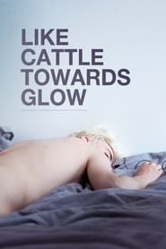 Like Cattle Towards Glow streaming sur filmcomplet