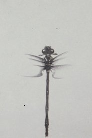 Imagen de Dragonfly