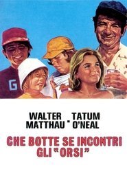 Che botte se incontri gli orsi 1976