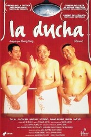 Imagen de La ducha