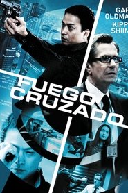 Imagen de Fuego cruzado