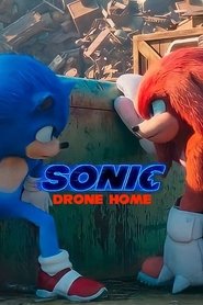Imagen de Sonic Drone Home