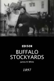 Film Buffalo Stockyards streaming VF complet
