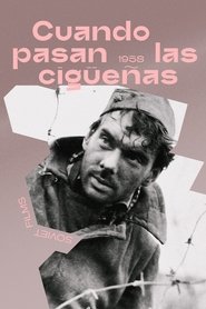 Imagen de Cuando pasan las cigüeñas
