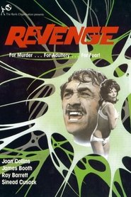 Film Violence en Sous-Sol streaming VF complet