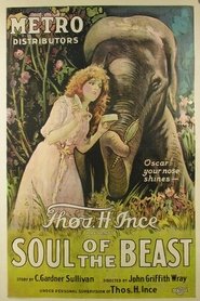 Film Soul of the Beast streaming VF complet