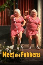 Film Meet the Fokkens streaming VF complet