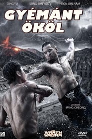 Film The Wrath of Vajra streaming VF complet