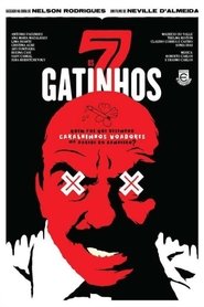 Film Os Sete Gatinhos streaming VF complet