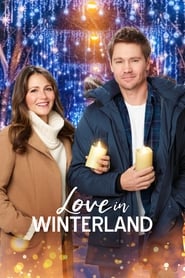 Poster for Love in Winterland (2020)