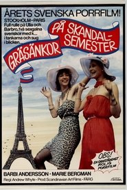 Film Gräsänkor på skandalsemester streaming VF complet