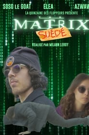 The Matrix : Suédé