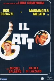 Film Qui a tué le chat ? streaming VF complet