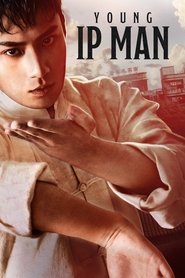 Imagen de Young Ip Man: Crisis Time