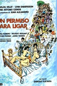 Film Un permiso para ligar streaming VF complet