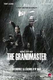 Film The Grandmaster streaming VF complet