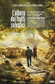 L'albero dei frutti selvatici 2018