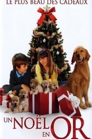 Film Un Noël en or streaming VF complet