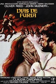 Imagen de Días de furia