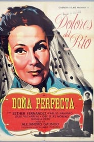 Film Doña Perfecta streaming VF complet