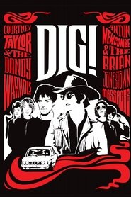 Film Dig! streaming VF complet