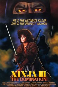 Film Ninja III: The Domination streaming VF complet