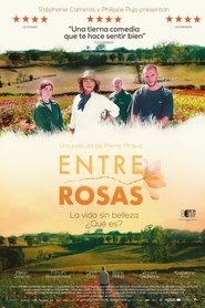 Imagen de Entre rosas
