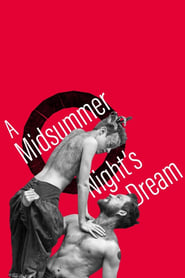 Film A Midsummer Night's Dream: Live from Shakespeare's Globe streaming VF complet