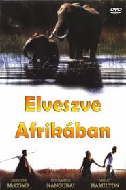 Film L'Ami Africain streaming VF complet