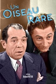 Film Un oiseau rare streaming VF complet