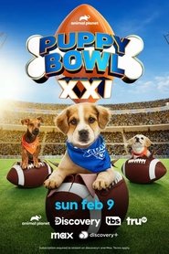 Imagen de Puppy Bowl XXI