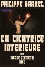 Film La Cicatrice intérieure streaming VF complet