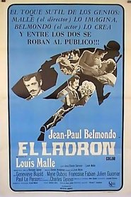 Imagen de El ladrón de París