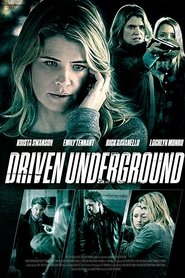 Film Témoignage risqué streaming VF complet